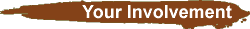 Your Involvement